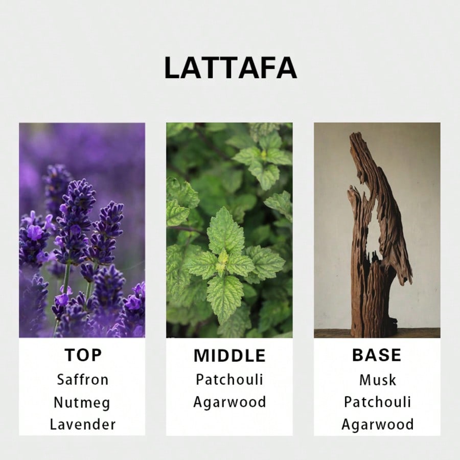 Lattafa Badee Al Oud For Glory - Perfume Adrien Fragrance reseña y precio